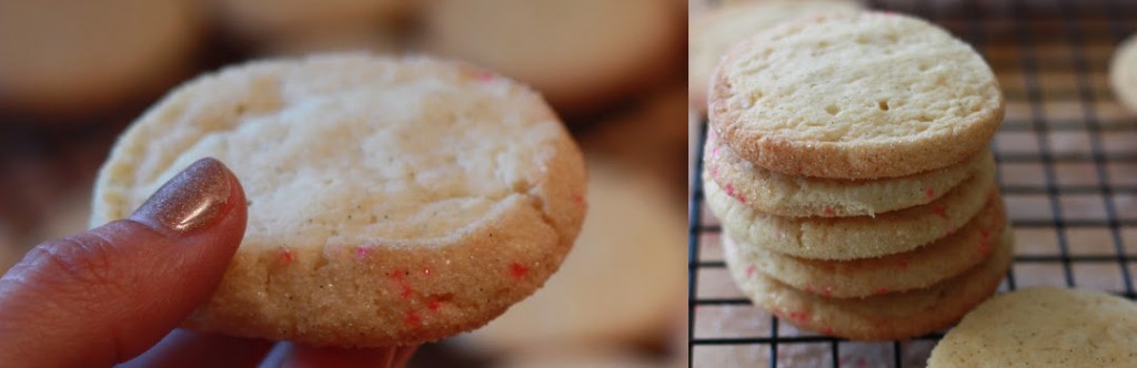 vanilla bean sugar cookie