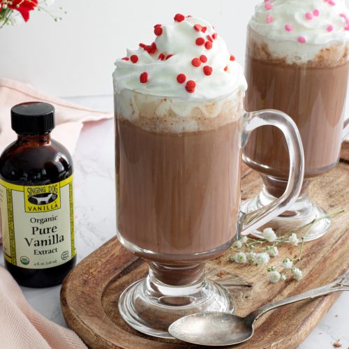 Boozy Hot Chocolate with Singing Dog Vanilla